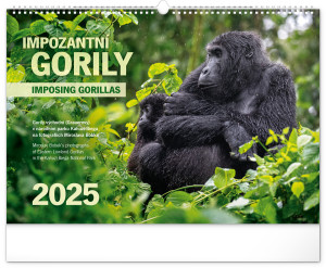 Nástěnný kalendář Impozantní gorily 2025, 48 × 33 cm - Reklamnepredmety