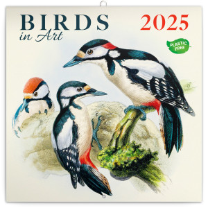 Poznámkový kalendář Ptáčci 2025, 30 × 30 cm - Reklamnepredmety