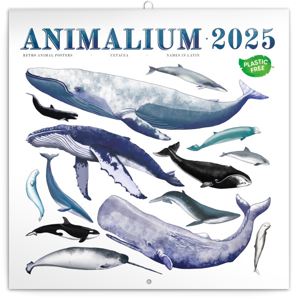 Poznámkový kalendář Animalium 2025, 30 × 30 cm