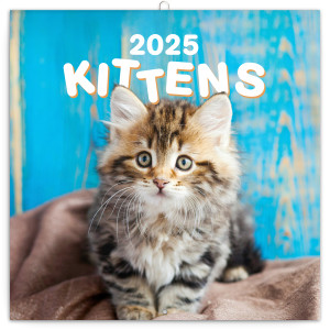 Poznámkový kalendář Koťata 2025, 30 × 30 cm - Reklamnepredmety