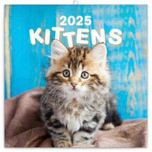 Poznámkový kalendář Koťata 2025, 30 × 30 cm - Reklamnepredmety