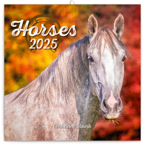 Poznámkový kalendář Koně – Christiane Slawik 2025, 30 × 30 cm - Reklamnepredmety
