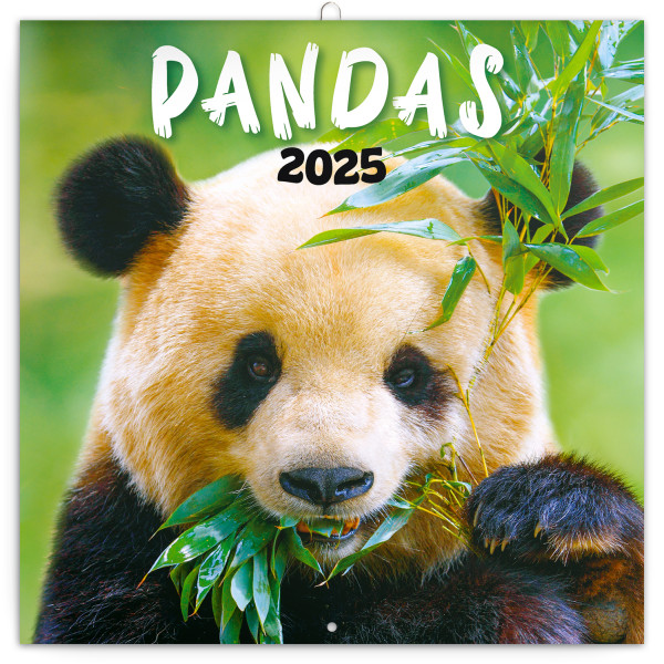 Poznámkový kalendář Pandy 2025