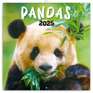 Poznámkový kalendář Pandy 2025 - Reklamnepredmety