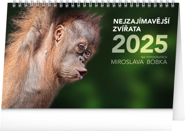 Stolní kalendář Nejzajímavější zvířata 2025, CZ