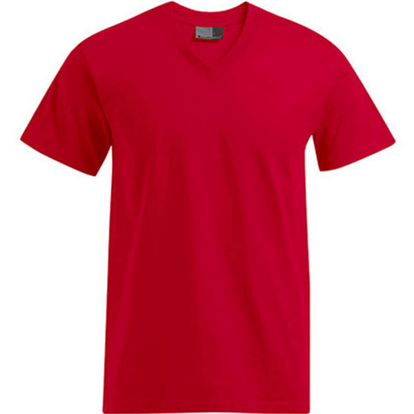 E3025 Premium V-Neck-T