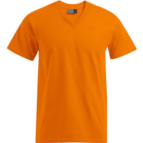 E3025 Premium V-Neck-T