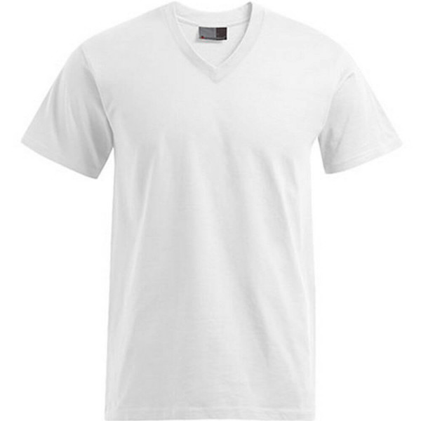 E3025 Premium V-Neck-T