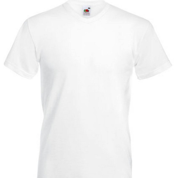 F270 Valueweight V-Neck T